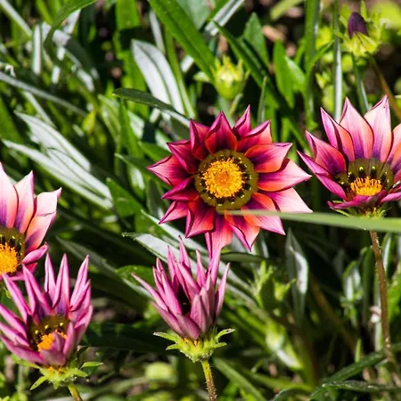 Appartement Recanto Da Avo