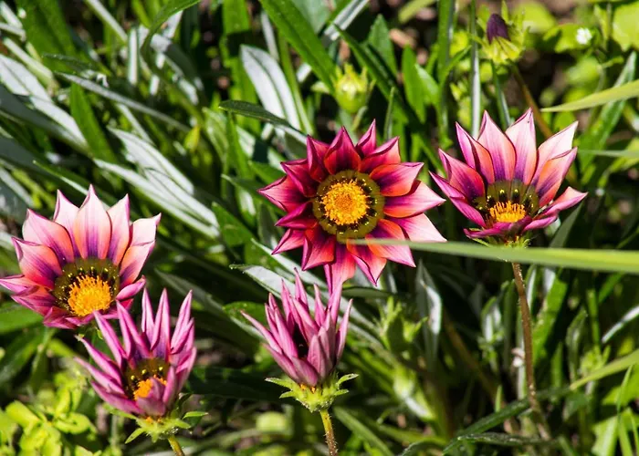 Lejlighed Recanto Da Avo